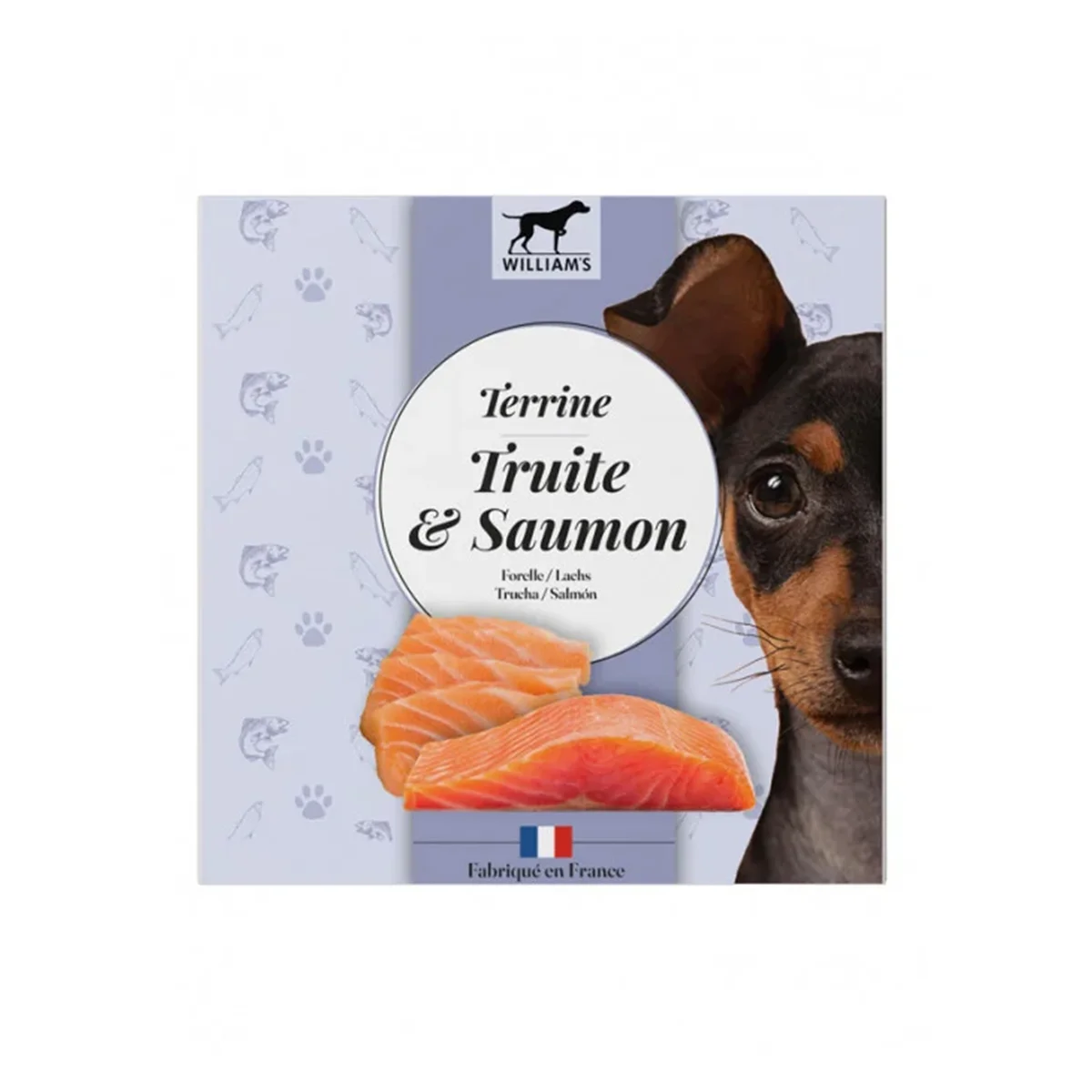 WILLIAM’S TERRINE CHIEN TRUITE/SAUMON 80G